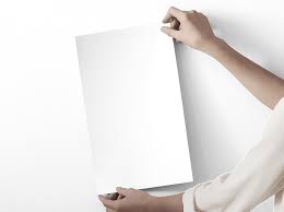 Image result for Ibis White 2017 Q1