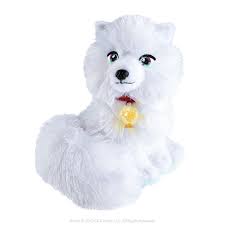 The Elf On The Shelf A Christmas Tradition Elf Pets Pet Fox Arctic Fox