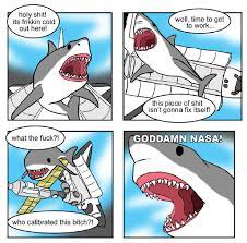 Fuck you shark comic