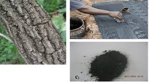 Image result for Bridelia ferruginea