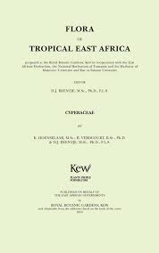 Image result for Hypolytrum heteromorphum