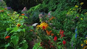 Native michigan flowers for hummingbirds. More From John S Butterfly And Hummingbird Garden In Michigan Finegardening