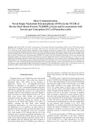 No19, 2nd floor, jalan usj 9 / 5p. Pdf Short Communication Novel Single Nucleotide Polymorphisms Snps In The 5 Utr Of Bovine Heat Shock Protein 70 Bhsp70 Gene And Its Association With Service Per Conception S C Of Pasundan Cattle