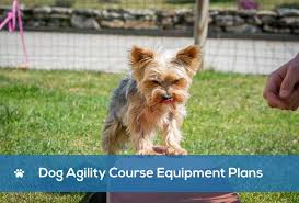 Oct 11, 2017 · small breed agility dogs 1. 11 Diy Dog Agility Course Equipment Plans With Pictures Doggie Designer