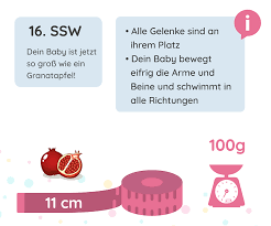 16 Ssw Schwangerschaftswoche