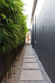 Bamboo Garden Ideas Backyards Side Yard Landscaping Modern Landscaping Modern Garden