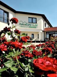 Szczegółowa meteoprognoza witzelroda, wolny kraj turyngia, niemcy na dziś, jutro, weekend. Panorama Hotel Am Frankenstein Witzelroda Aktualisierte Preise Fur 2021