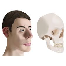 Dan Funk (@defunk.design) · Instagram photos and videos