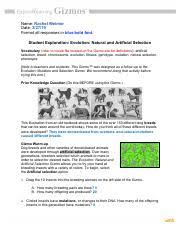 Start studying natural selection gizmo 5 questions. Green Jackson 10 2selection Pdf Name Jackson Green Date Format All Responses In Blue Bold Font Student Exploration Evolution Natural And Artificial Course Hero
