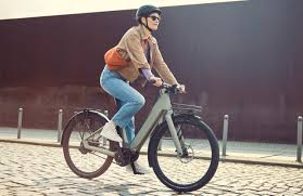 These are the most popular electric bikes for sale in our store, as chosen by our beloved customers. Best Electric Bikes E Bikes Canyon De