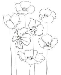 Pin By Bailee Hope On Baking Decorating In 2020 Flower Line Drawings Flower Drawing Poppy Flower Drawing