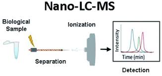 This page describes how a mass spectrum is produced using a mass spectrometer. Nano Liquid Chromatography Mass Spectrometry And Recent Applications In Omics Investigations Analytical Methods Rsc Publishing