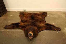 Returns made easy · top brands · under $10 · huge savings Bear Skin Rug Bear Skin Rug Bear Rug Faux Bear Skin Rug