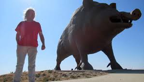 En effet, depuis la peste. Video Woinic A 10 Ans On A Marche Dans Le Plus Grand Sanglier Du Monde