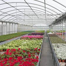 Roswell biotechnologies is a molecular electronics company transforming dna sequencing with their latest platform, designed to deliver the disruptive performance required for future biomedical and. Services Seeds In New Mexico Roswell Seed Company Inc