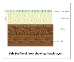 I'm guessing scenes mean locations? Paul Munns Blog Maintenance Category Scarifying Your Lawn