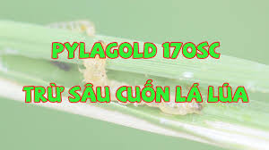 Pylagold 170SC