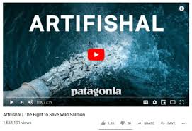 NWIFC's Loomis Pans Patagonia's Anti-hatchery Movie
