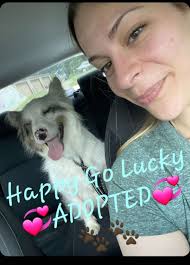 Happy Trails & Waggin' Tails Pet Salon & Boarding