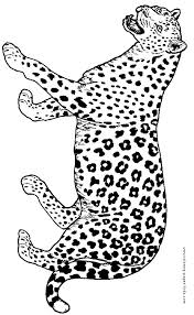 They live and hunt alone and only come together to mate. Jaguar Color Page Coloring Pages For Kids Animal Coloring Pages Art Drawings For Kids