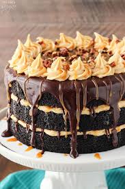 Turtle Chocolate Layer Cake With Caramel Icing Recipe Chocolate Layer Cake Moist Chocolate Cake Desserts