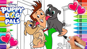 You can teach him how dog is a faithful animal. Pictures Of Puppy Dog Pals Bob Blog Lif Co Id