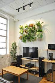 Indoor Plant Wall Indoor Plant Lights Green Decor
