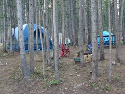 Do any campgrounds in yellowstone have electricity. Canyon Campground Yellowstone National Park Lodges