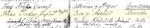 Another 257 words (18 lines of text) covering the years 1520, 1562, 1563, 1650, 1705, 1760, 1836, 1842, 1852, and 1873 are included under the topic early lindner history in all our pdf extended history products and printed products wherever possible. Lindner Archives Zalewski Family Genealogy