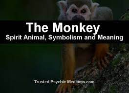 The Ant Spirit Animal A Complete Guide To Meaning And Symbolism Spirit Animal Cat Spirit Animal Spirit Animal Meaning