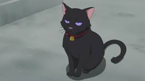 It's where your interests connect you with black cat anime small movie world peace i love anime artist names assassin manga anime fandoms fan art. Mao Darker Than Black Wiki Fandom