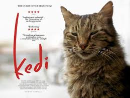 Kedi Belgeseli Time In En Iyi 10 Film Listesinde Ilk Beste Kedi Simdiye Kadar Bilinen En Gizemli Ve En Sevilen Hayvan Cats Feral Cats Movies To Watch Free
