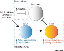 Image result for BCL2 Inhibitor