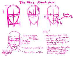 How to draw an 2. Proportion Cheatsheet The Face Front By Imaginary Alchemist On Deviantart