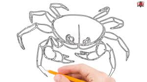 Guidelines for the crab or cancer symbol is simple. How To Draw A Crab Step By Step Easy For Beginners Kids Simple Crabs Drawing Tutorial Youtube