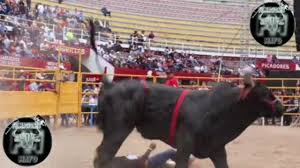 Agresori extrem raw action capture