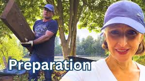 Shed Build: Unexpected Challenges ☘️