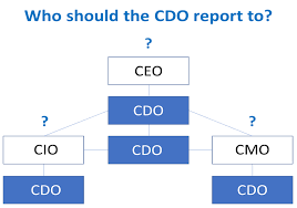 Cdo Leading Digital Transformation