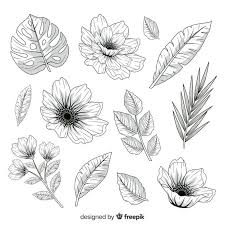 A butterfly that lands on a flower to feed on nectar. Download Realistic Hand Drawn Flowers And Leaves For Free Hand Drawn Flowers Flower Drawing Flower Sketches