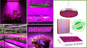 Hid manufacturers have gotten worse: Best Grow Lights For Vegetables Our 2021 Reviews