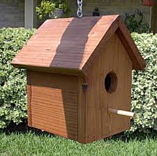 If the hidden security cameras and other bugs use multiple frequencies changing rapidly. Bird House Hidden 4k Camera W Built In Motion Activated Digital Video Recorder Dpl