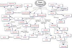 Biologically Important Organic Molecules Original Document Concept Map Organic Compounds Concept Map Organic Molecules Map