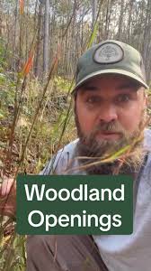 Conservation Strategies for Open Woodland Habitats