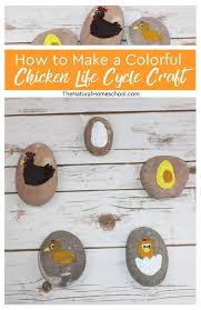 So make sure you subscribe on the bar at the top 5. How To Make A Colorful Chicken Life Cycle Craft With Kids The Natural Homeschool