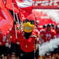 Northern Illinois Huskies vs. Ball State Cardinals