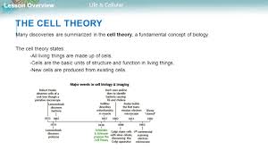 B could you tell us something about the different ways you use computers? Biology Unit 4 Cell Structure And Function Ppt Download