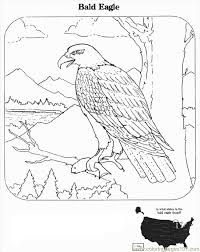 Can the net harness a bunch of volunteers to help bring books in the public domain to life through podcasting? Bald Eagle Coloring Page For Kids Free Eagle Printable Coloring Pages Online For Kids Coloringpages101 Com Coloring Pages For Kids