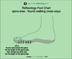 Back Pain Reflexology Exercies And Tricks