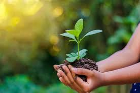The gift of mother nature is the place where we live, the air we breathe, water. World Environment Day 2020 When The United Nations Day Takes Place This Year S Theme And Online Activities The Scotsman