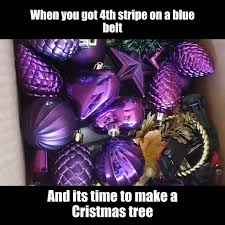Bjj Purple Belt Meme Purple Belt Bjj Memes Bjj